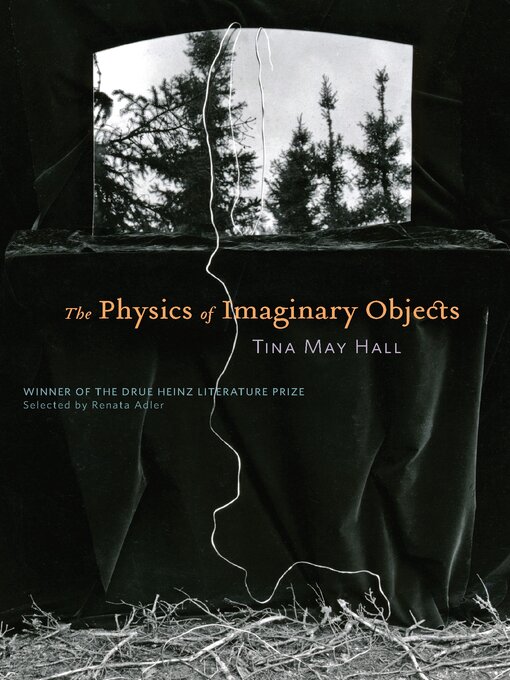 Title details for The Physics of Imaginary Objects by Tina May Hall - Available
